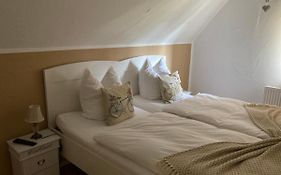 Guest House Dommitzsch